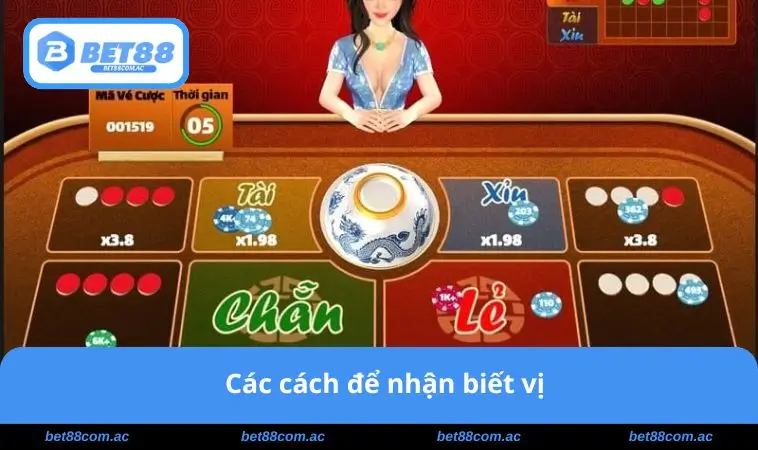 Cách Bắt Vị Xóc Đĩa Chuẩn Xác 100% Ai Cũng Nên Biết 2 Các cách để nhận biết vị