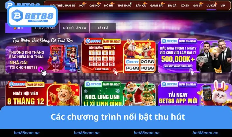 Các chương trình nổi bật 