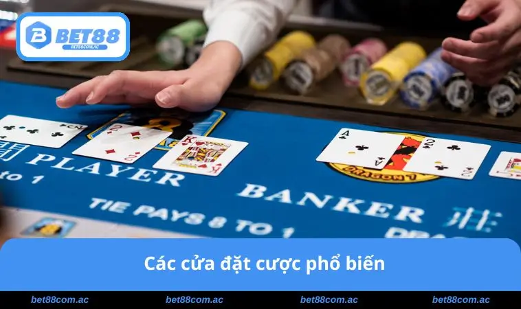 Cách Chơi Bài Baccarat - Bí Quyết Thắng Lớn Cho Người Mới 2 Các cửa đặt cược phổ biến