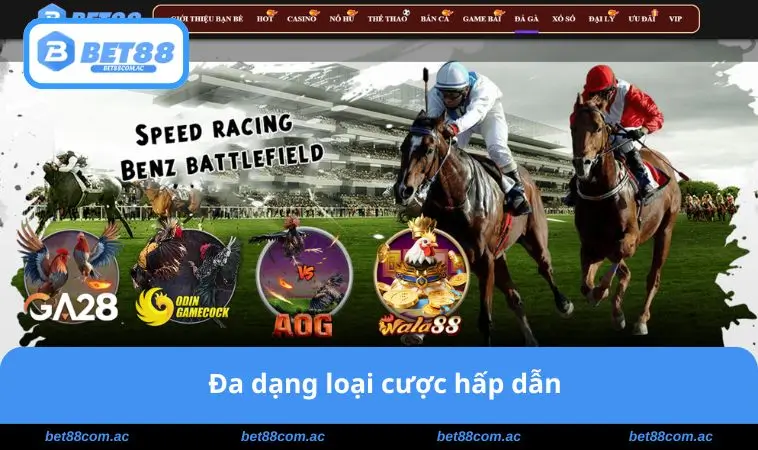 Đa dạng loại cược hấp dẫn