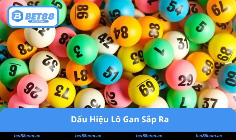 dau-hieu-lo-gan-sap-ra