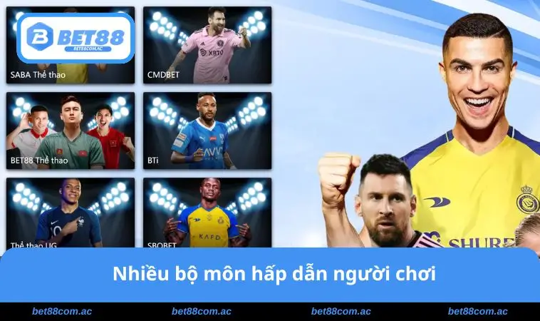 Nhiều bộ môn hấp dẫn 