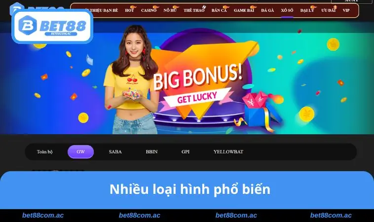 Nhiều loại hình phổ biến