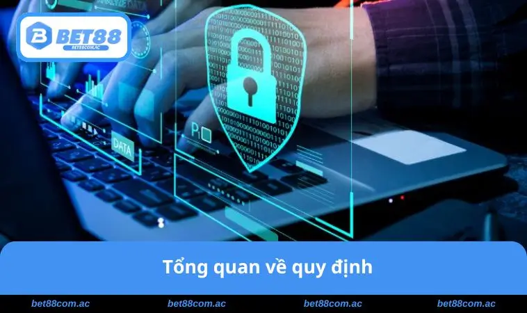 Tổng quan về quy định