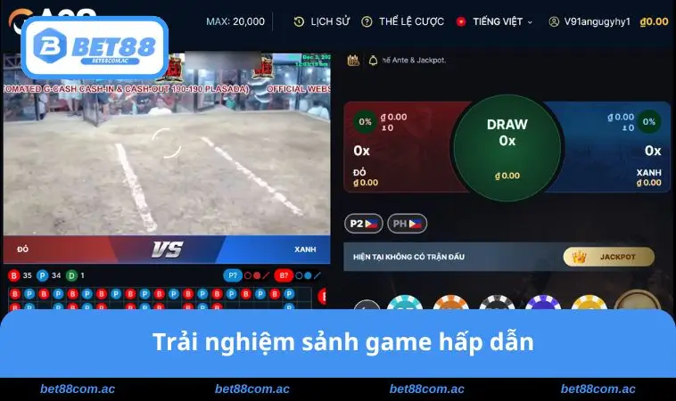 Trải nghiệm sảnh game hấp dẫn